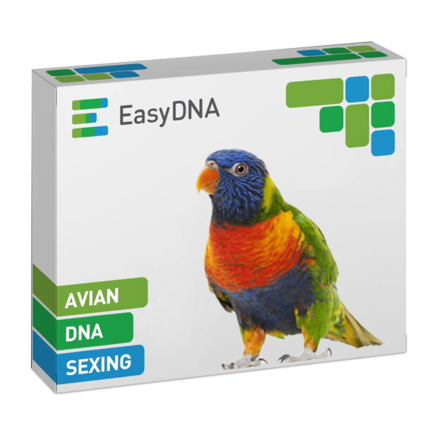 Avian DNA sexing