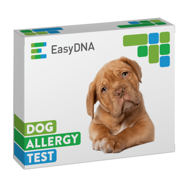 Dog Allergy Test