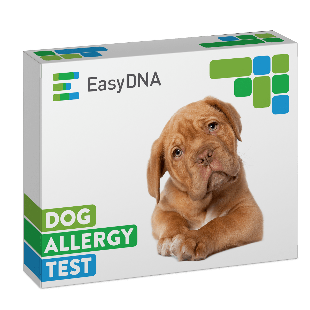 Easy Dog Allergy-min