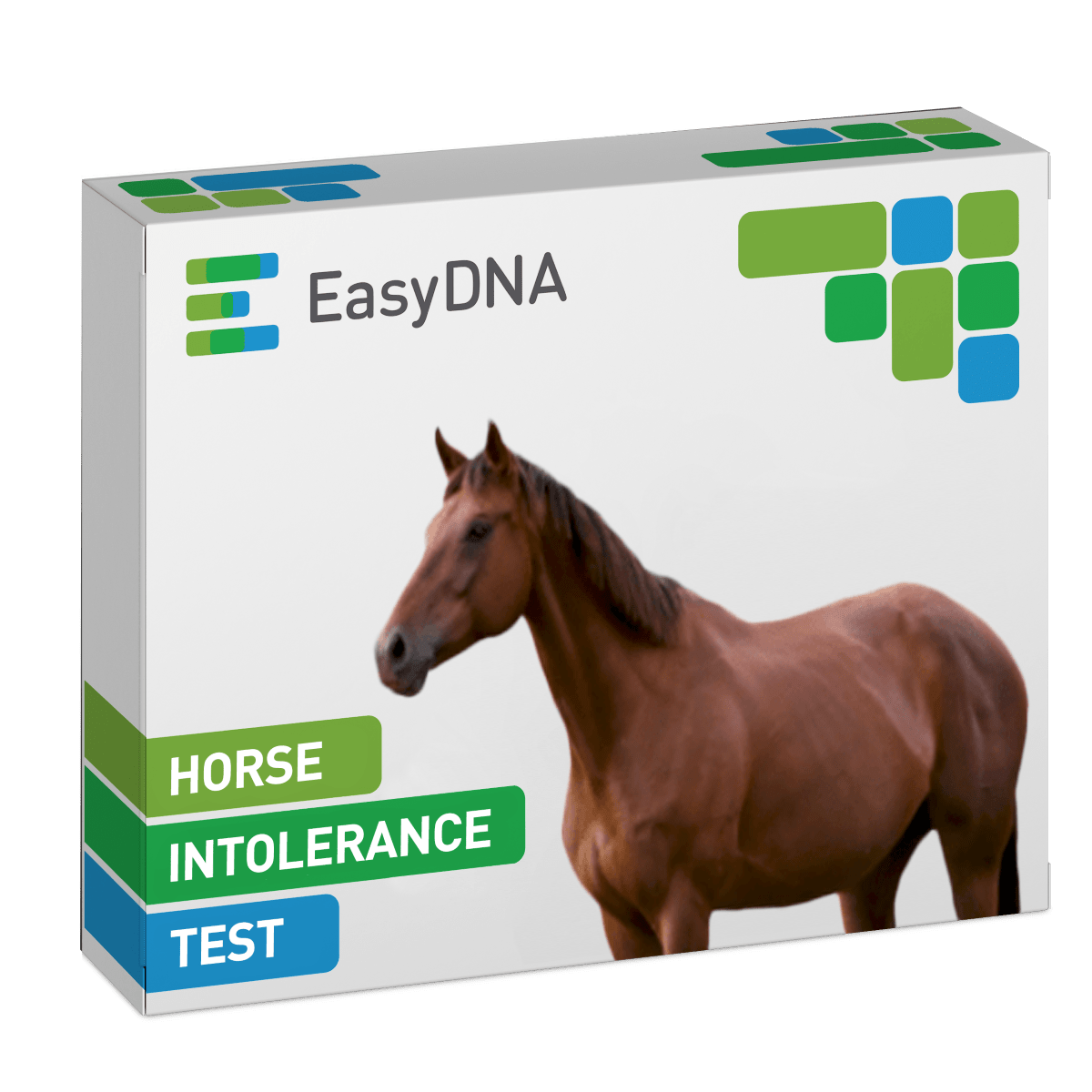 Horse Intolerance Test+-min