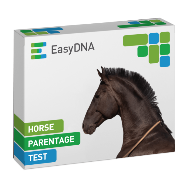 Horse Parentage Test