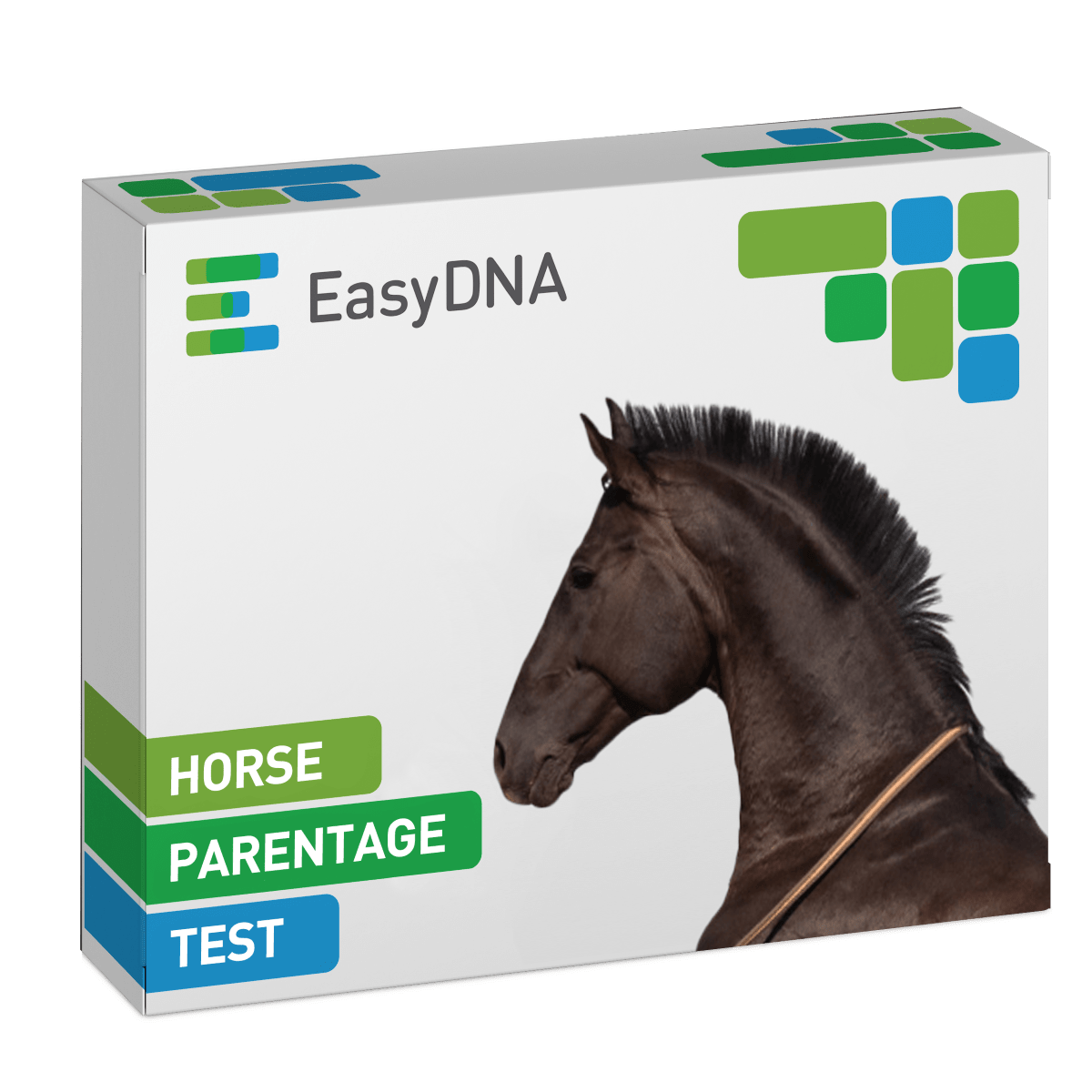 Horse Parentage Test+-min